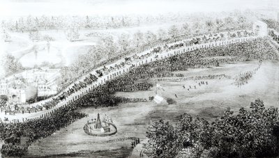 Her Most Gracious Majesty and Escort Leaving the Palace, from a series of bird